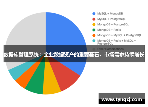 数据库管理系统：企业数据资产的重要基石，市场需求持续增长